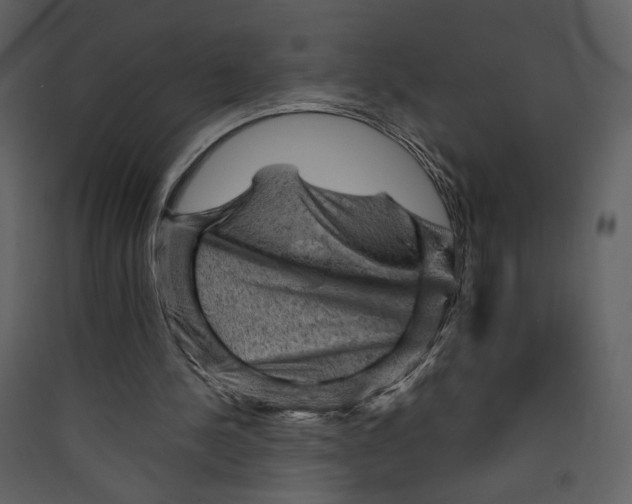 X0000089380244200707131704