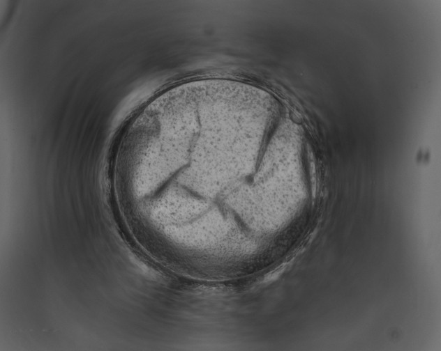 X0000089380245200707131704