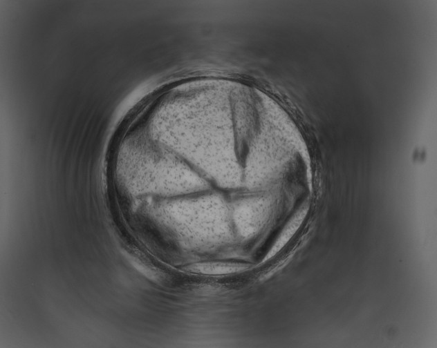 X0000089380246200707131704