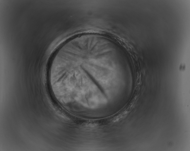 X0000089380247200707131704