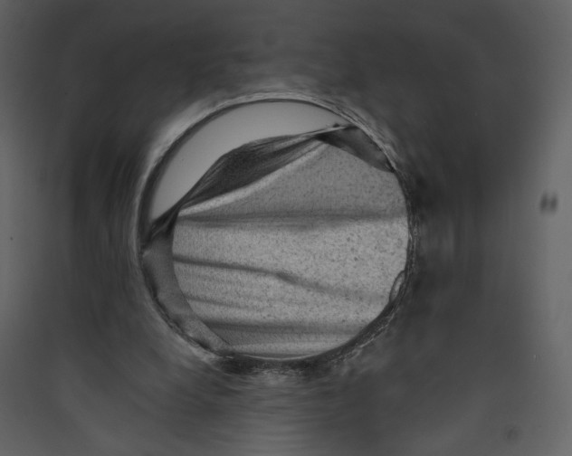 X0000089380248200707131704