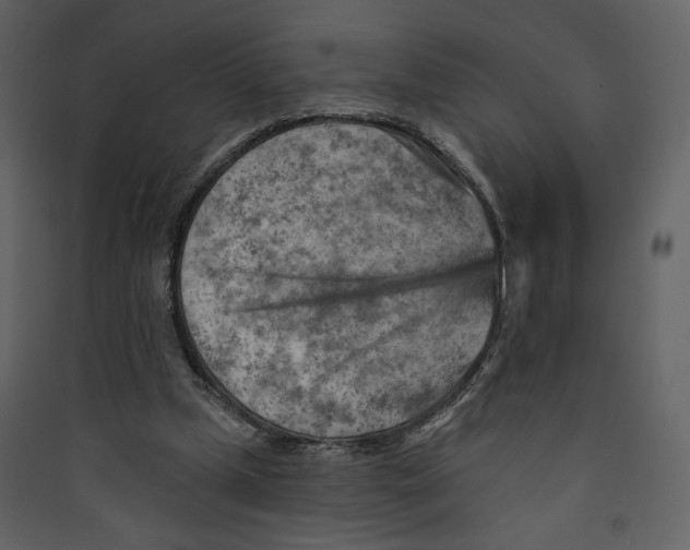 X0000089380249200707131704