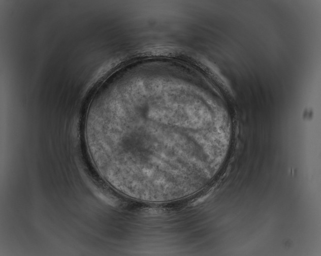 X0000089380250200707131704