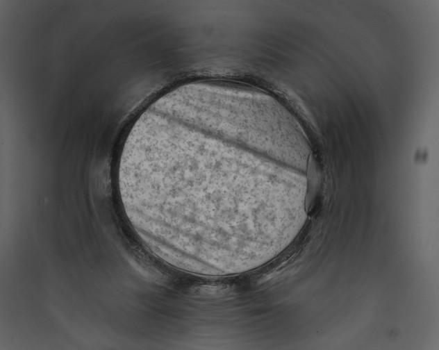 X0000089380251200707131704