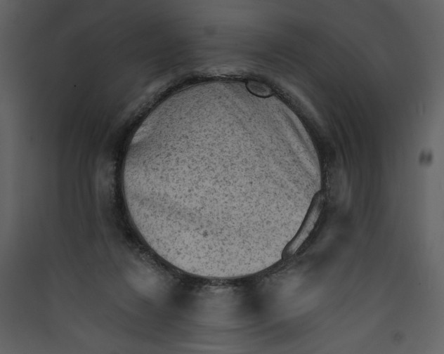 X0000089380260200707131704