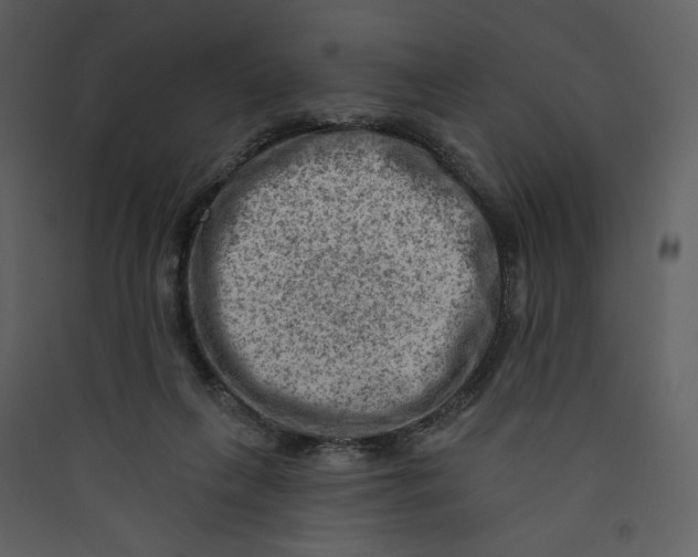 X0000089380263200707131704