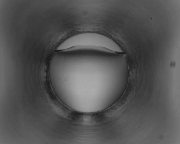 X0000089380264200707131704