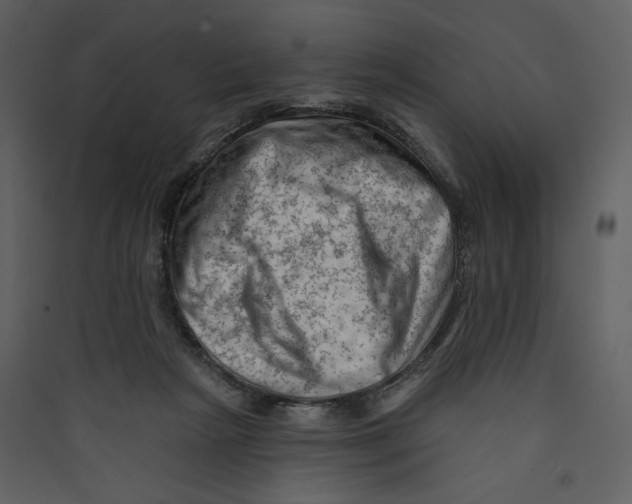 X0000089380265200707131704