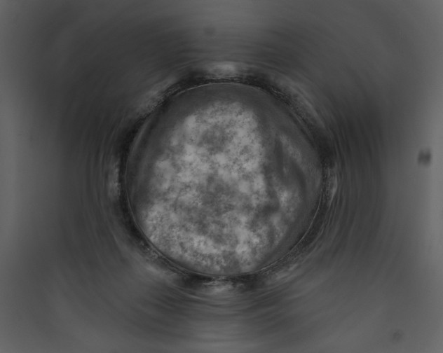 X0000089380267200707131704