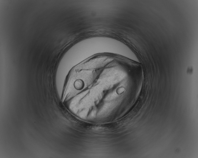 X0000089380268200707131704