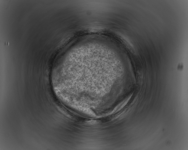 X0000089380269200707131704