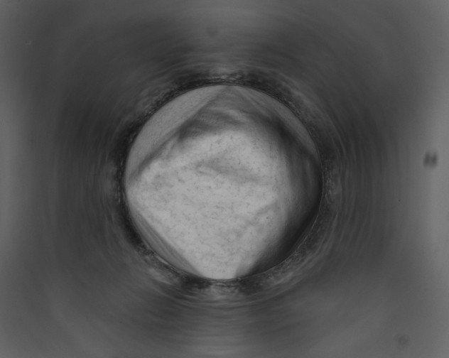 X0000089380270200707131704