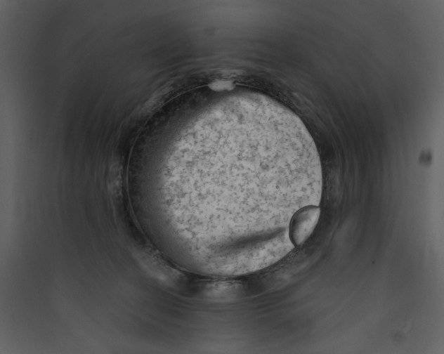 X0000089380274200707131704