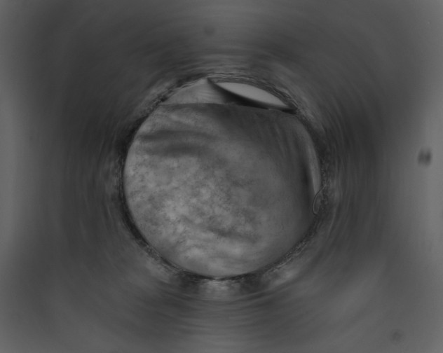 X0000089380277200707131705