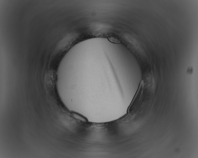 X0000089380280200707131705