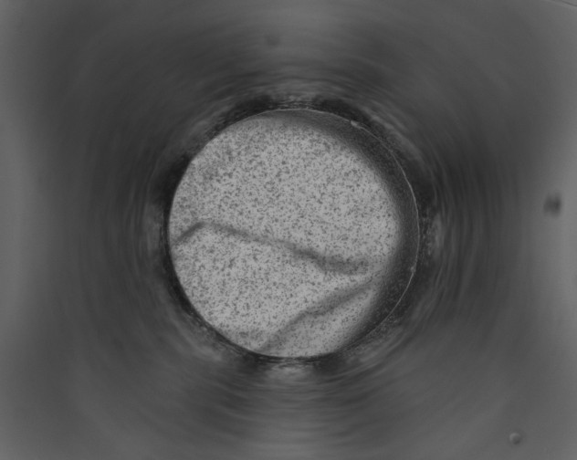 X0000089380283200707131705