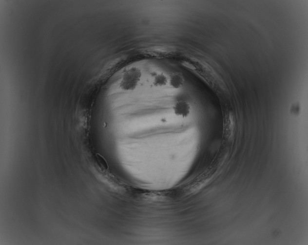 X0000089380284200707131705