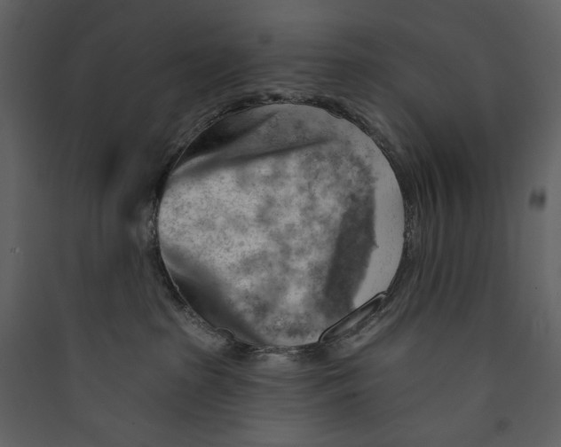 X0000089380285200707131705