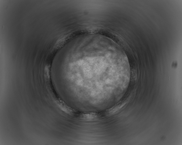 X0000089380286200707131705