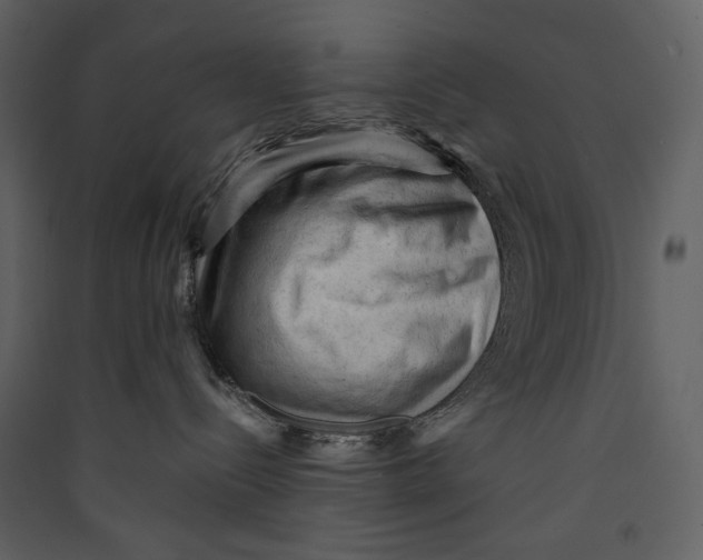 X0000089380288200707131705