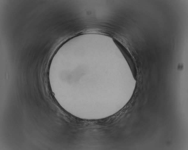 X0000089380289200707131704