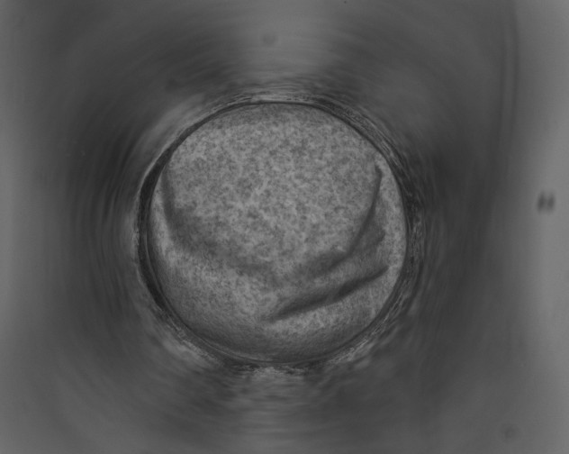 X0000089380290200707131704