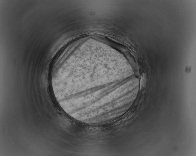 X0000089380291200707131704