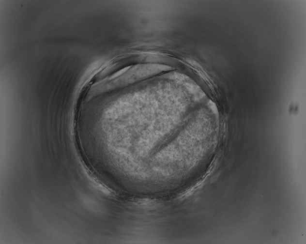 X0000089380293200707131704