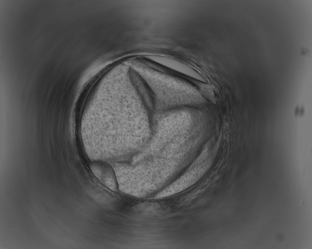 X0000089380294200707131704