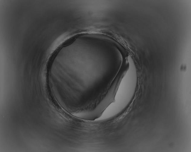 X0000089380295200707131704