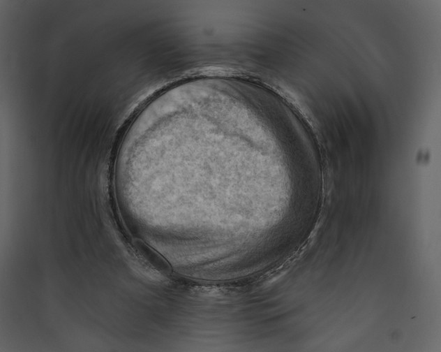 X0000089380297200707131704