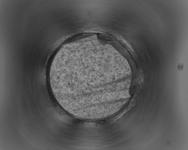 X0000089380298200707131704