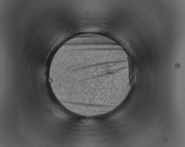 X0000089380300200707131704