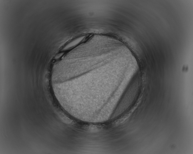 X0000089380305200707131704