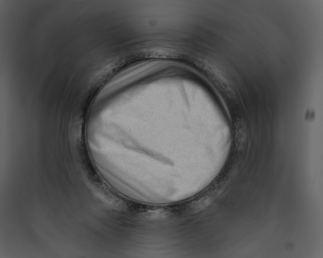 X0000089380310200707131704