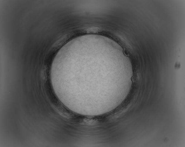 X0000089380311200707131704