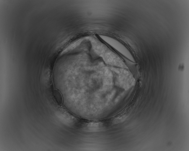 X0000089380314200707131704