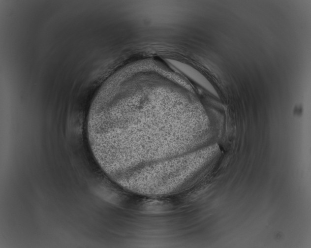 X0000089380315200707131704