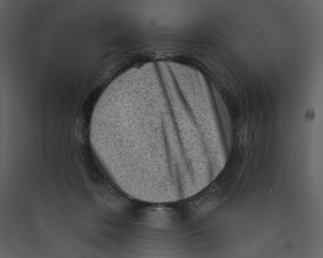 X0000089380316200707131704