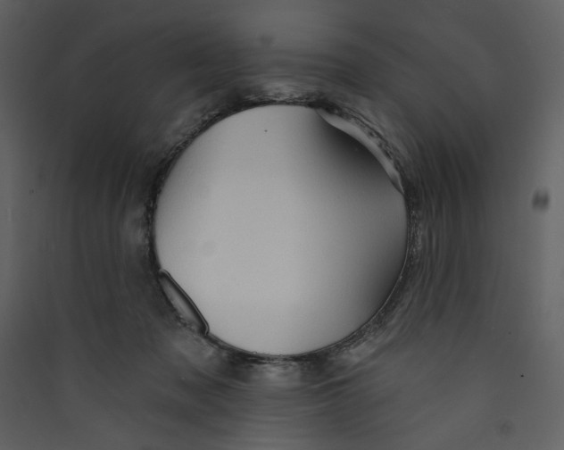 X0000089380317200707131704