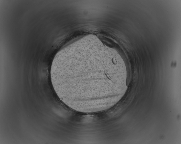 X0000089380320200707131704