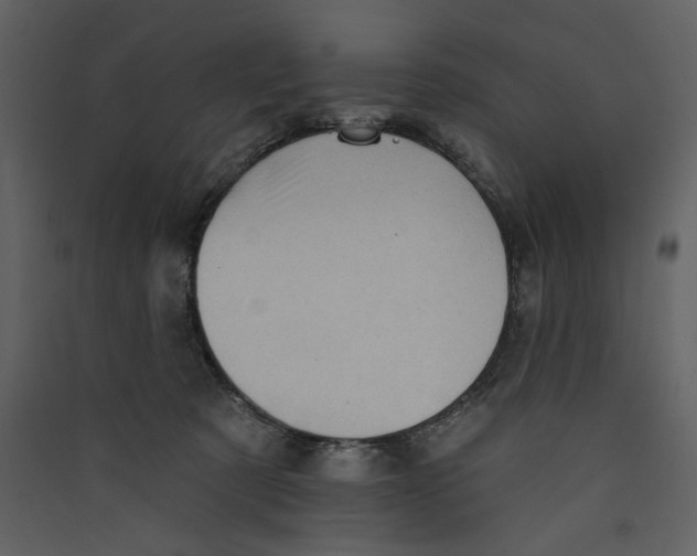 X0000089380321200707131704