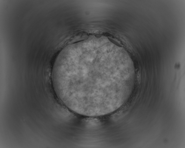 X0000089380322200707131704