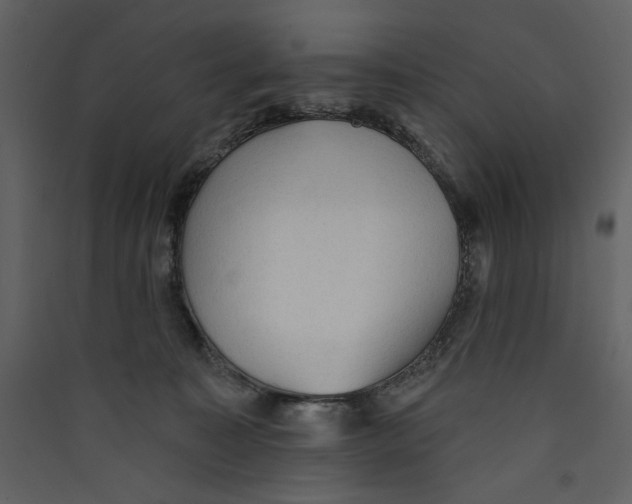 X0000089380323200707131704