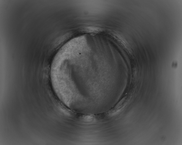 X0000089380325200707131704