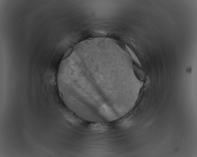 X0000089380331200707131704