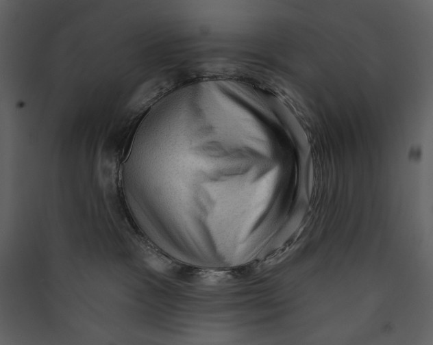 X0000089380333200707131703