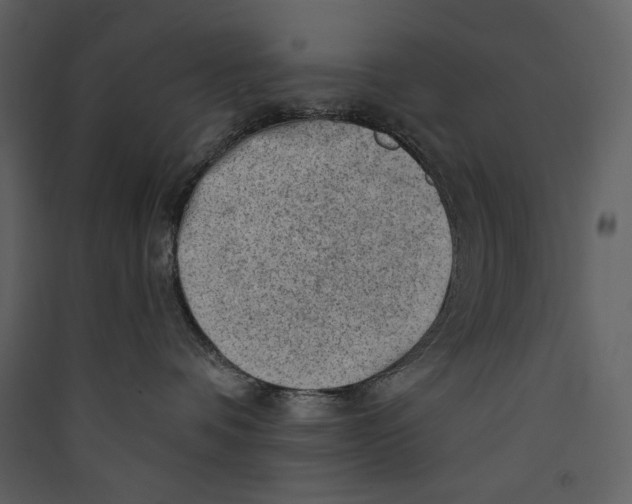 X0000089380336200707131703