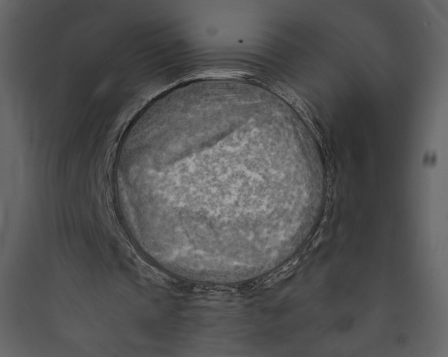 X0000089380337200707131703