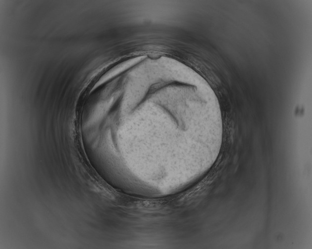 X0000089380338200707131703